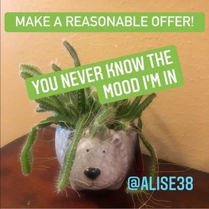 Make a Reasonable Offer!